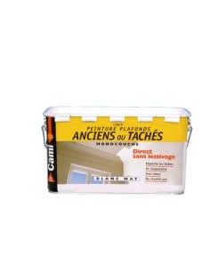 Pintura para techos antiguos