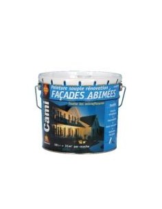 Pintura para fachadas dañadas